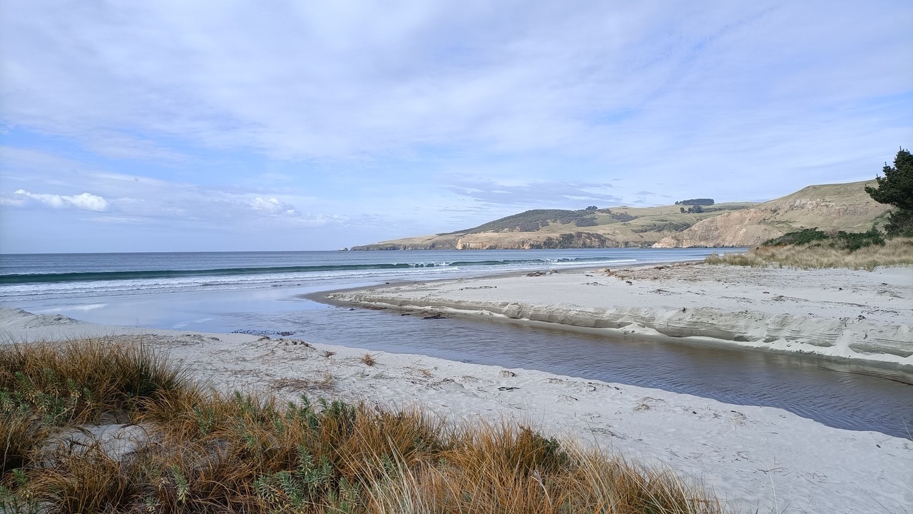 Photo of Others in Purakaunui