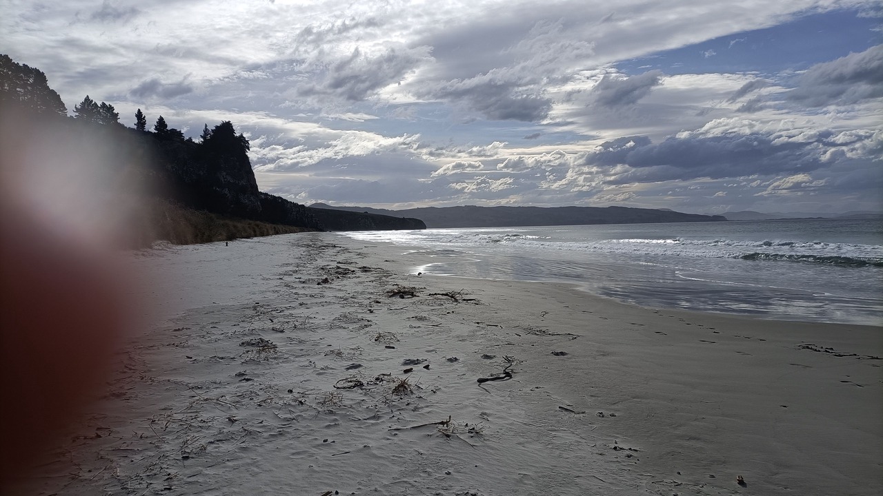 Photo of Others in Purakaunui