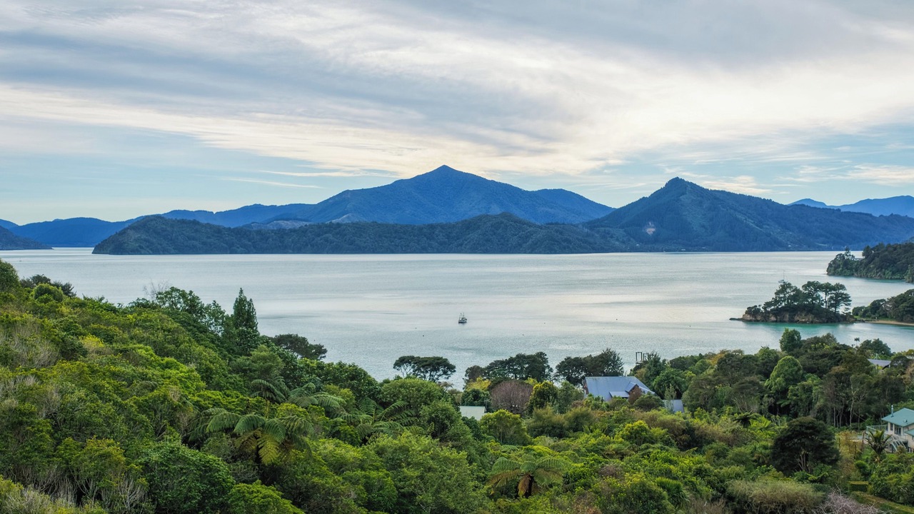 Photo of Others in Moetapu Bay