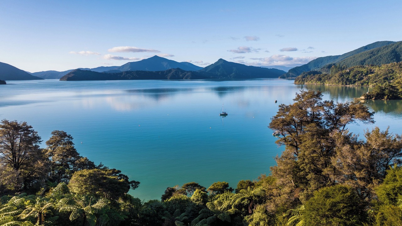 Photo of Others in Moetapu Bay