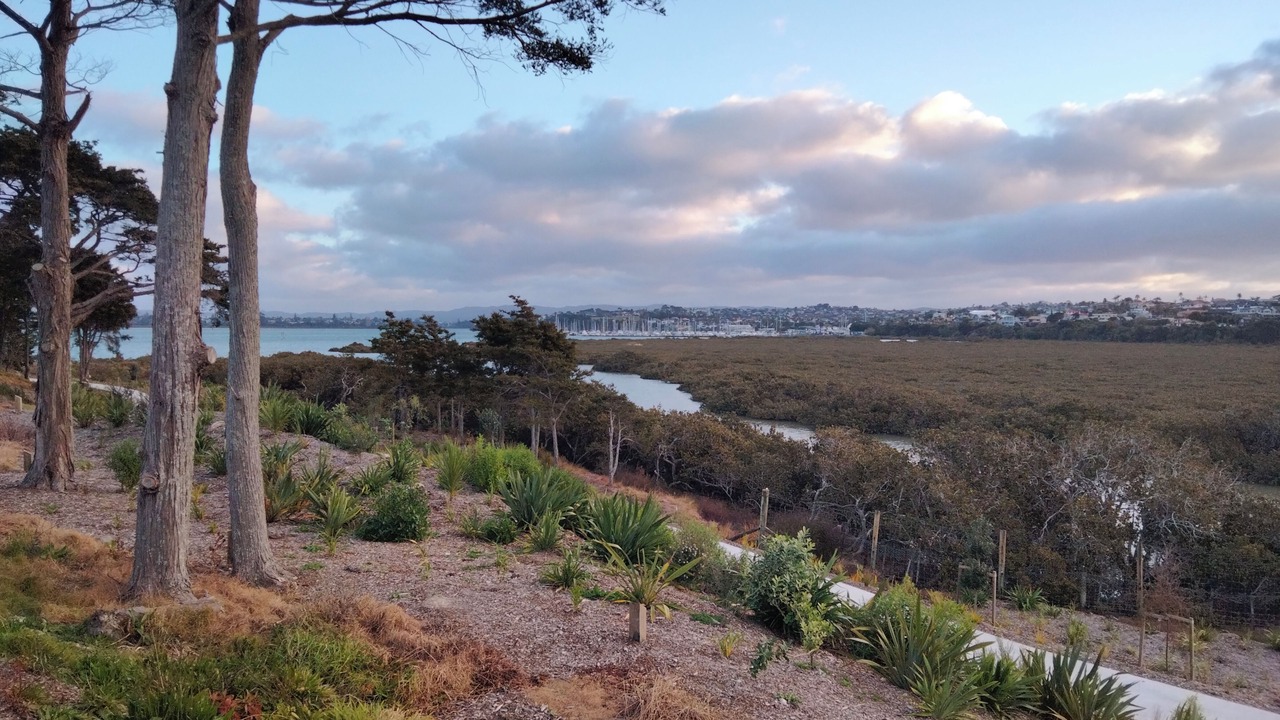Photo of Others in Hobsonville