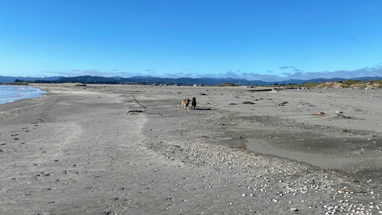 Photo of Others in Waiotahi