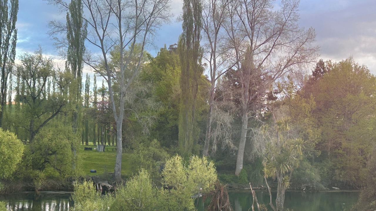 Photo of Others in Rotorua District