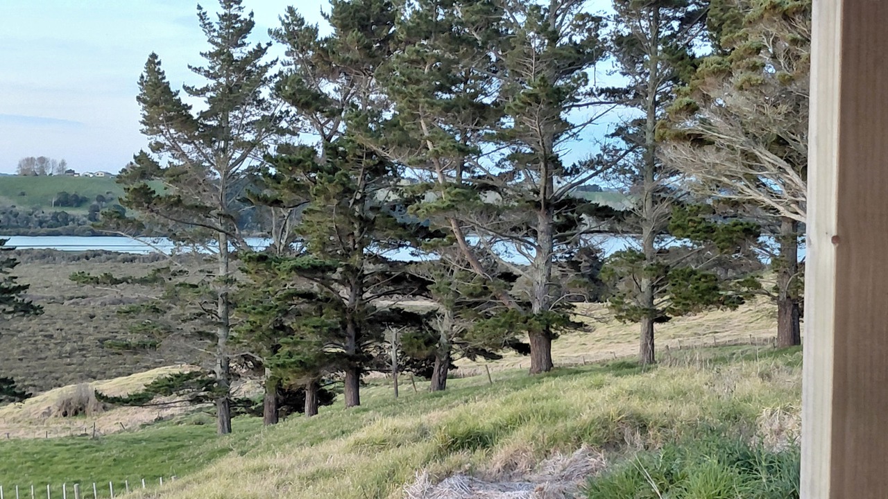Photo of Others in Matakohe