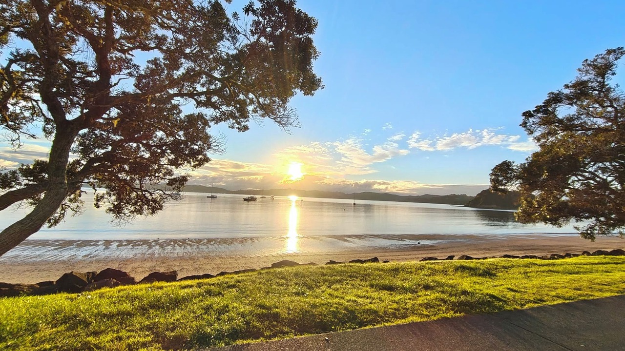Photo of Others in Paihia