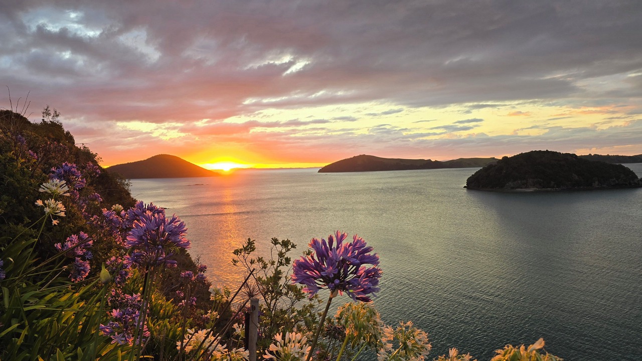 Photo of Others in Coromandel