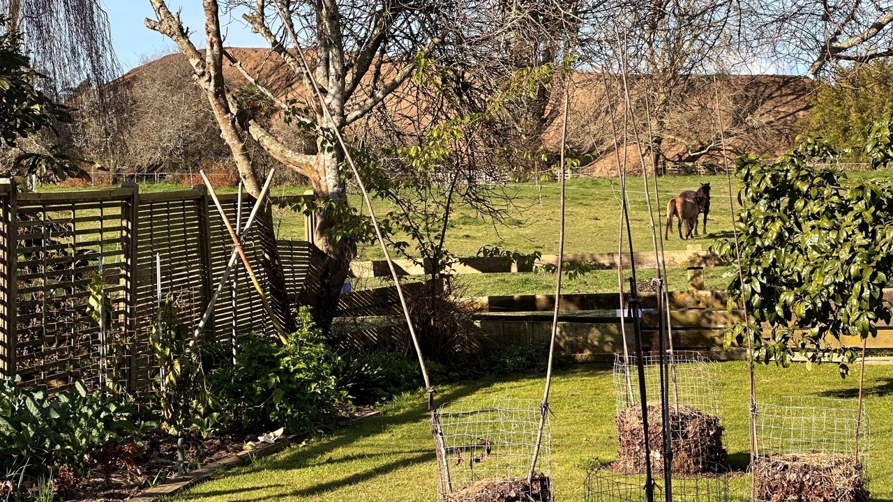 Photo of Outdoor in Tamahere