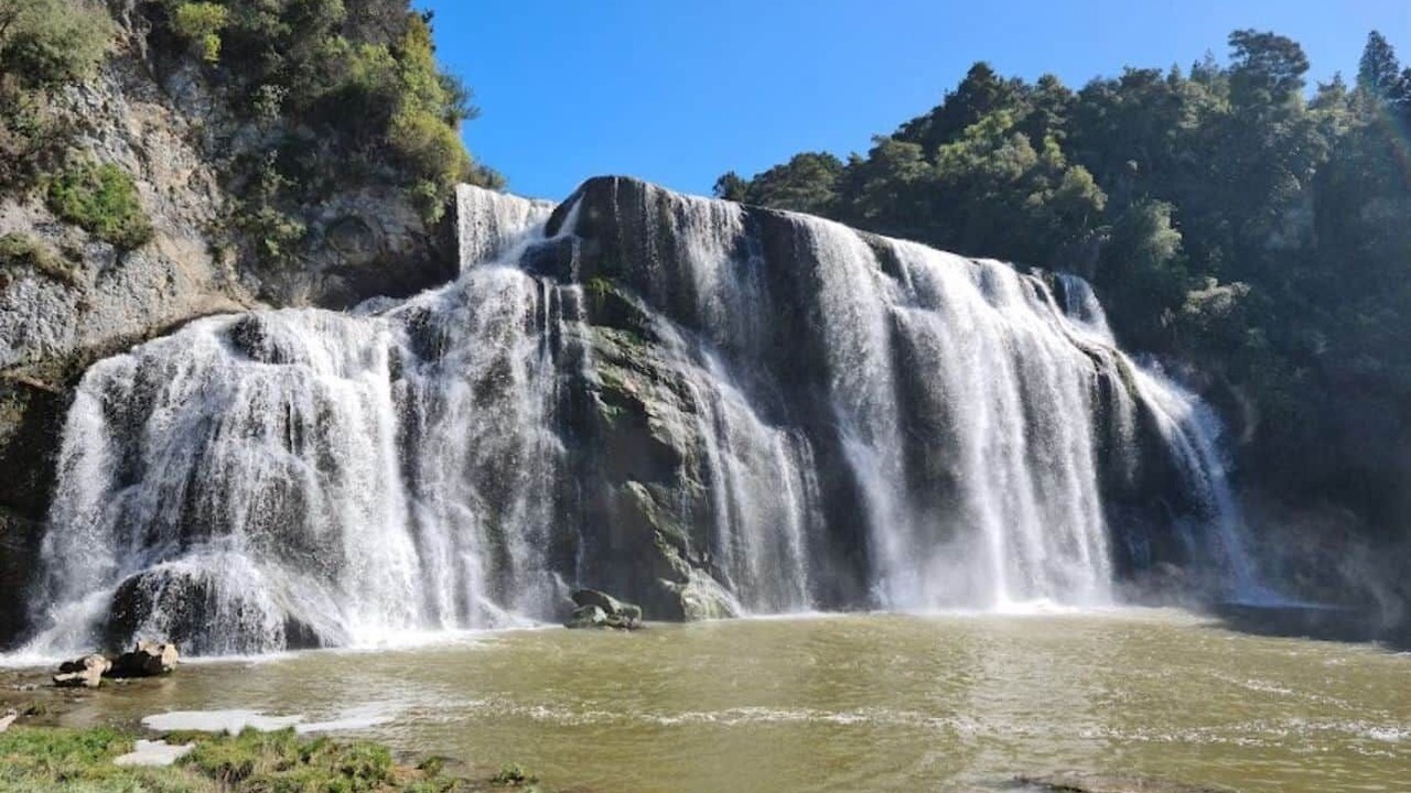 Photo of Others in Whiritoa
