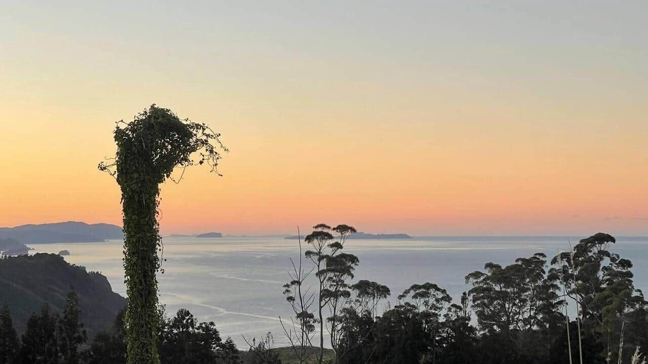 Photo of Others in Whiritoa