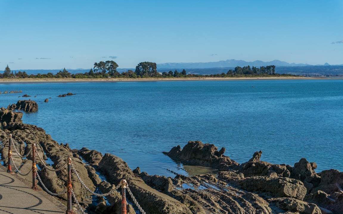Photo of Others in Nelson