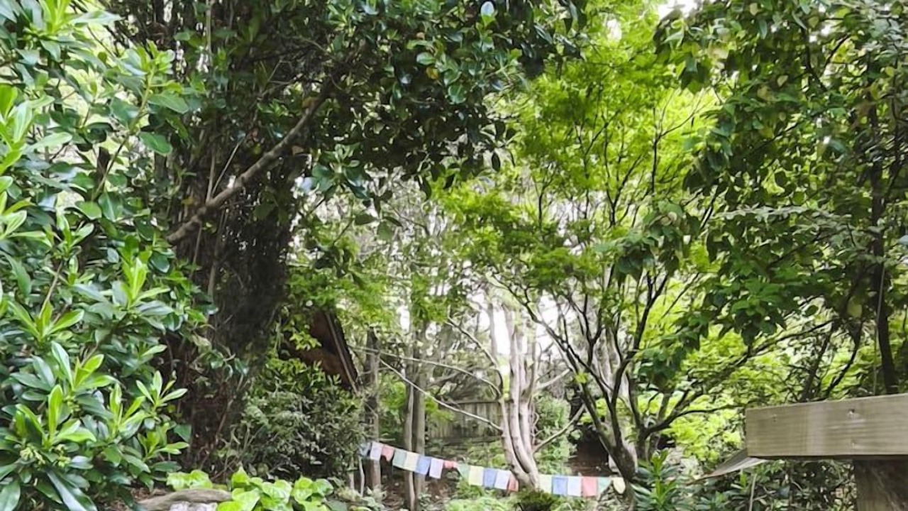 Photo of Others in Sunshine Bay