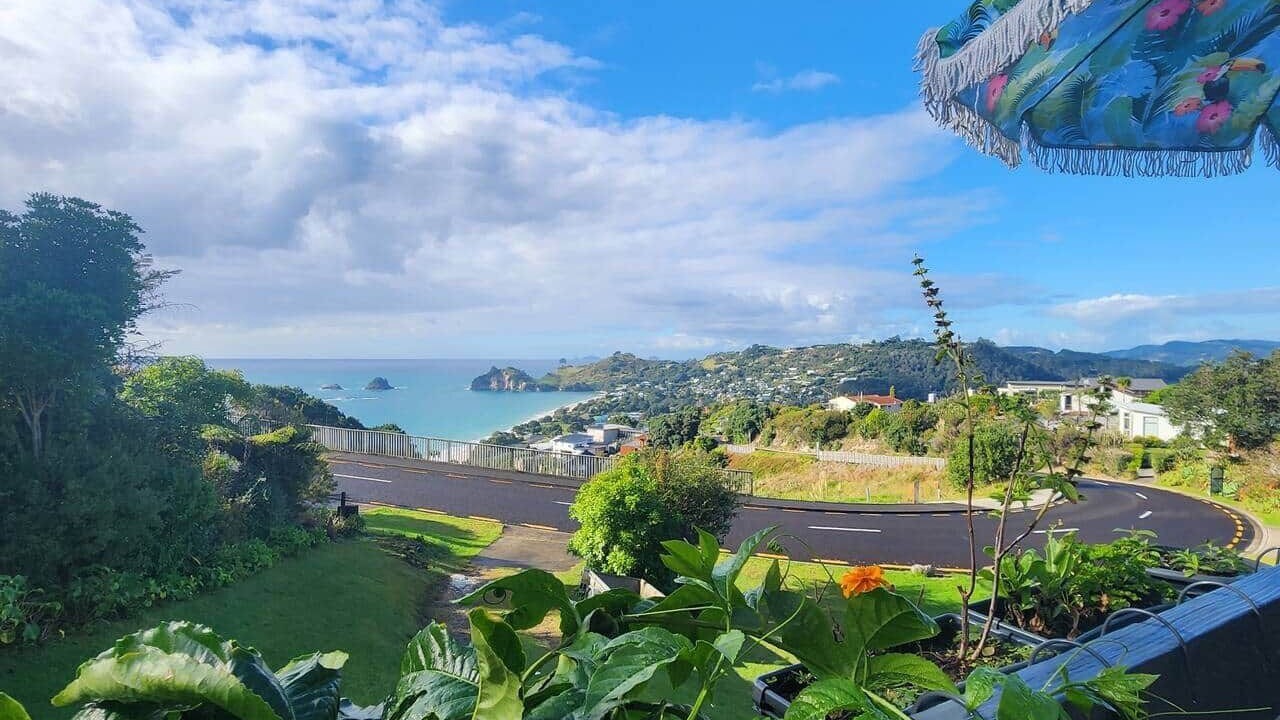 Photo of Outdoor in Hahei