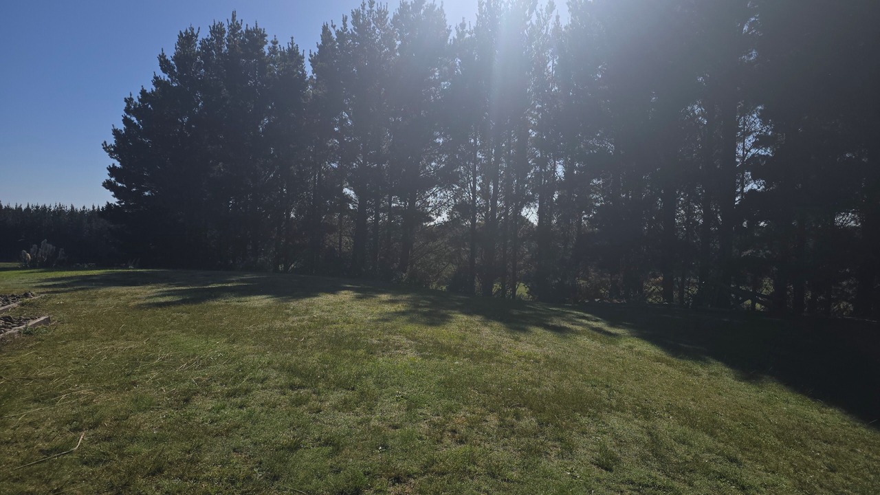 Photo of Others in Rangitikei
