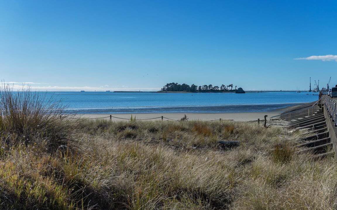 Photo of Others in Nelson