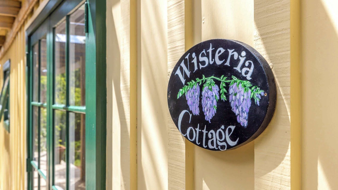 Photo of Outdoor in Oneroa