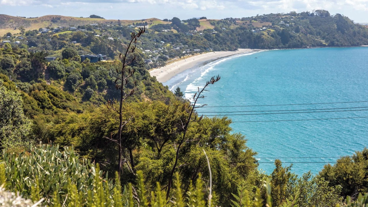 Photo of Others in Waiheke Island