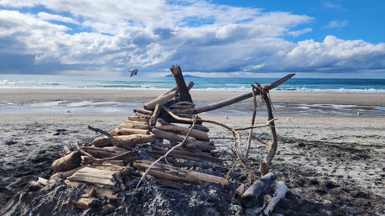 Photo of Others in Waihi Beach