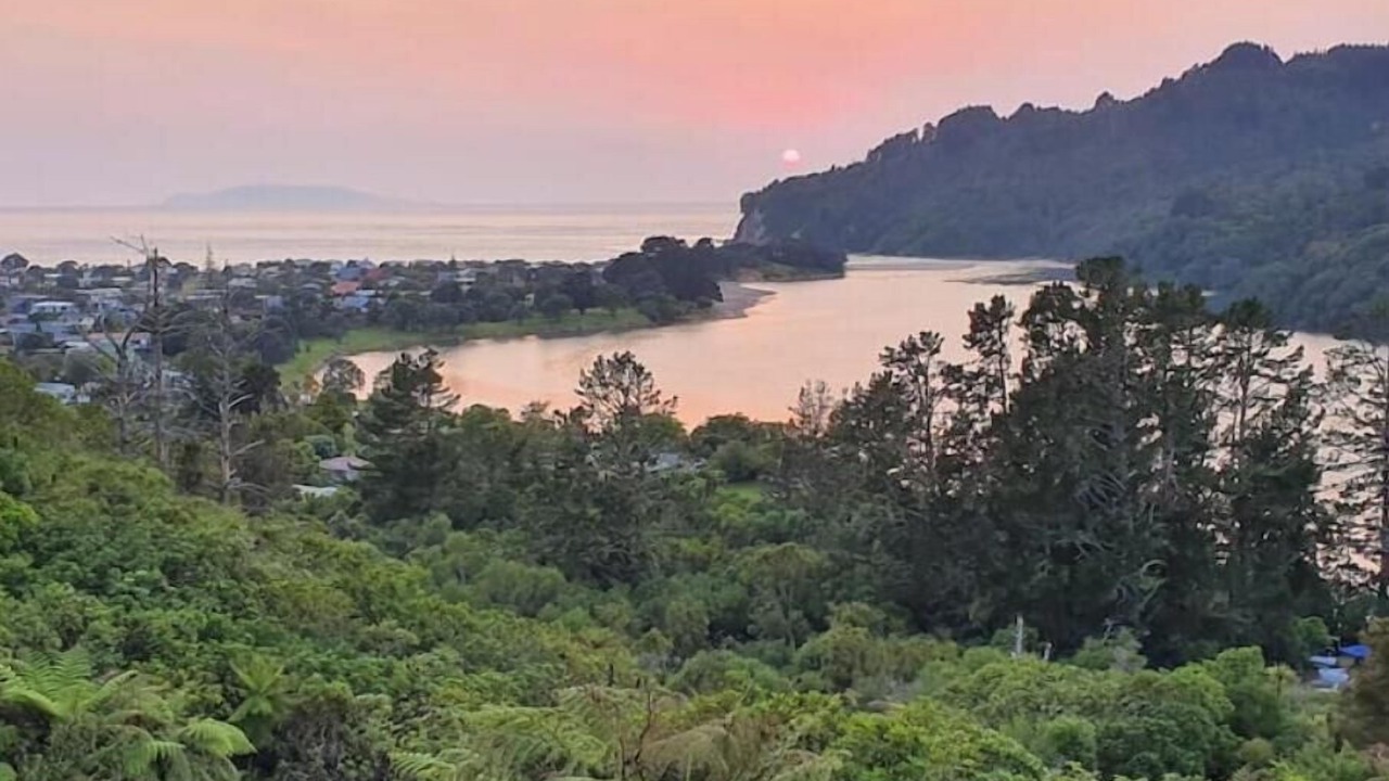 Photo of Others in Whangamata