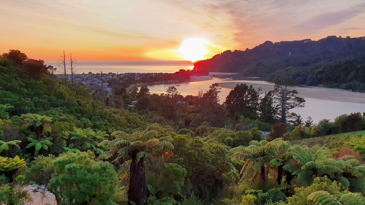 Photo of Others in Whangamata