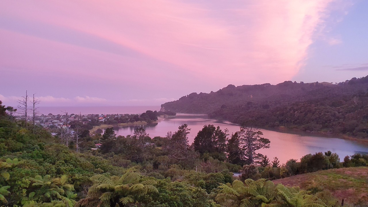 Photo of Others in Whangamata