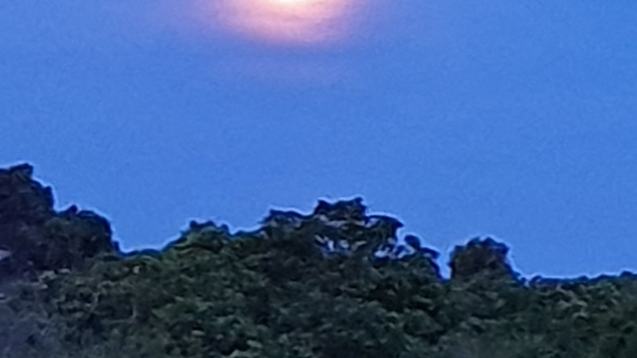 Photo of Others in Whangamata