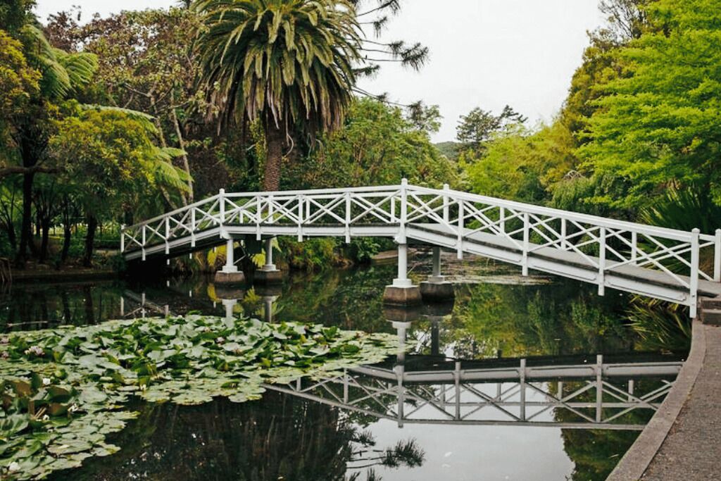 Photo of Others in Nelson