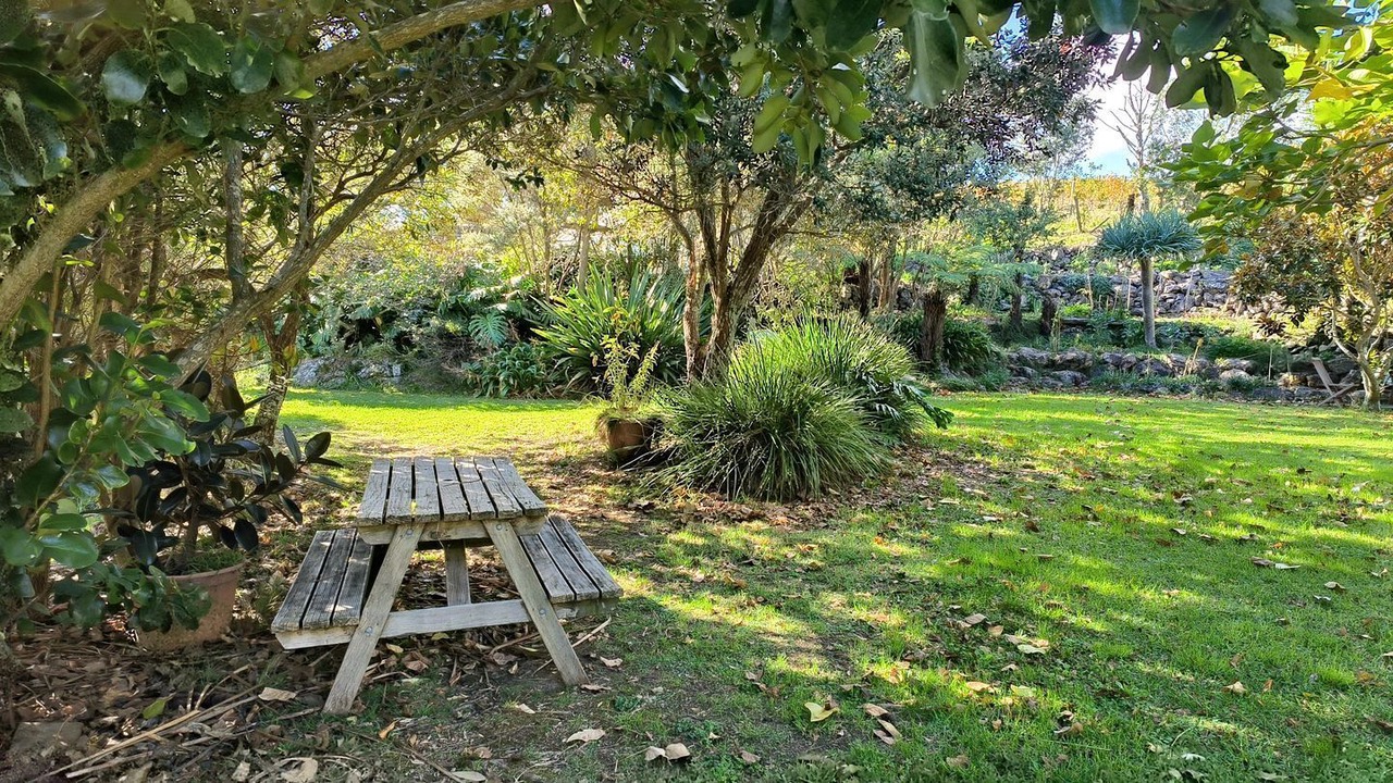 Photo of Outdoor in Oneroa