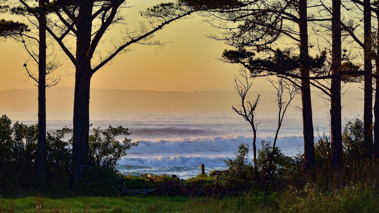 Photo of Others in Mahia