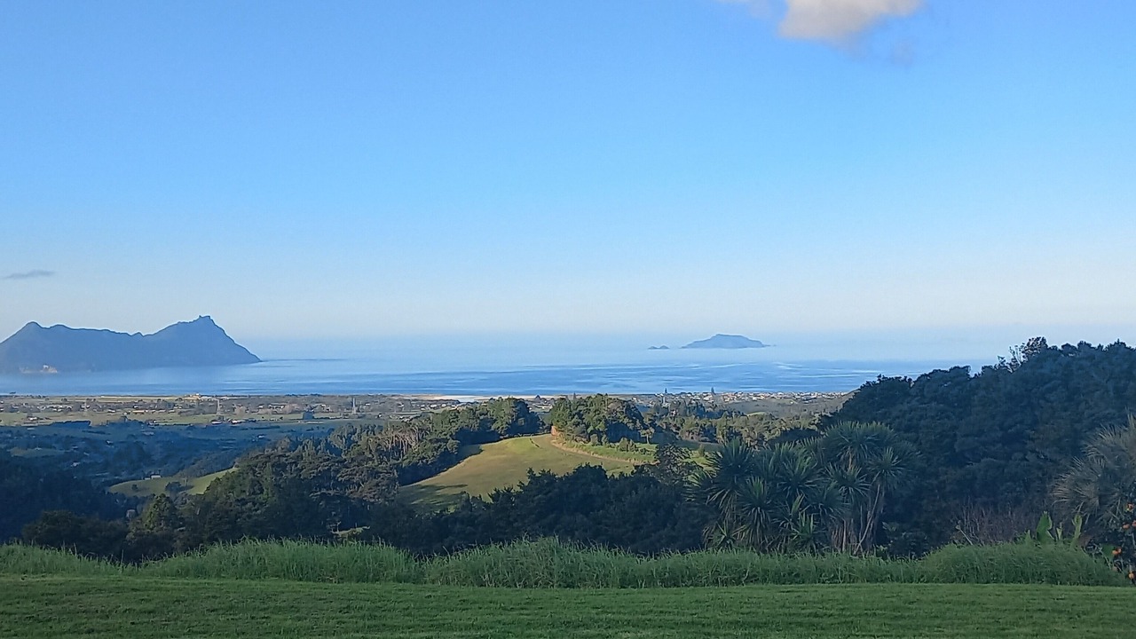 Photo of Others in Ruakaka