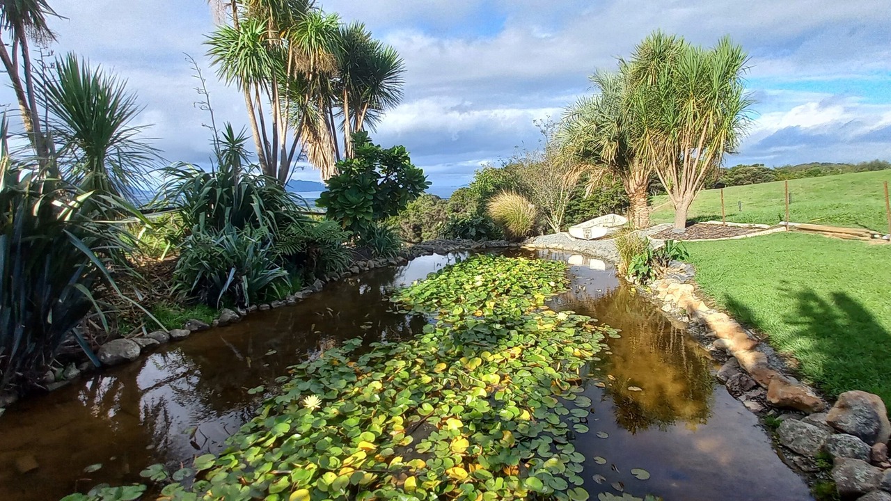 Photo of Outdoor in Ruakaka