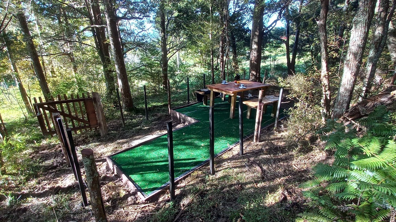 Photo of Outdoor in Ruakaka