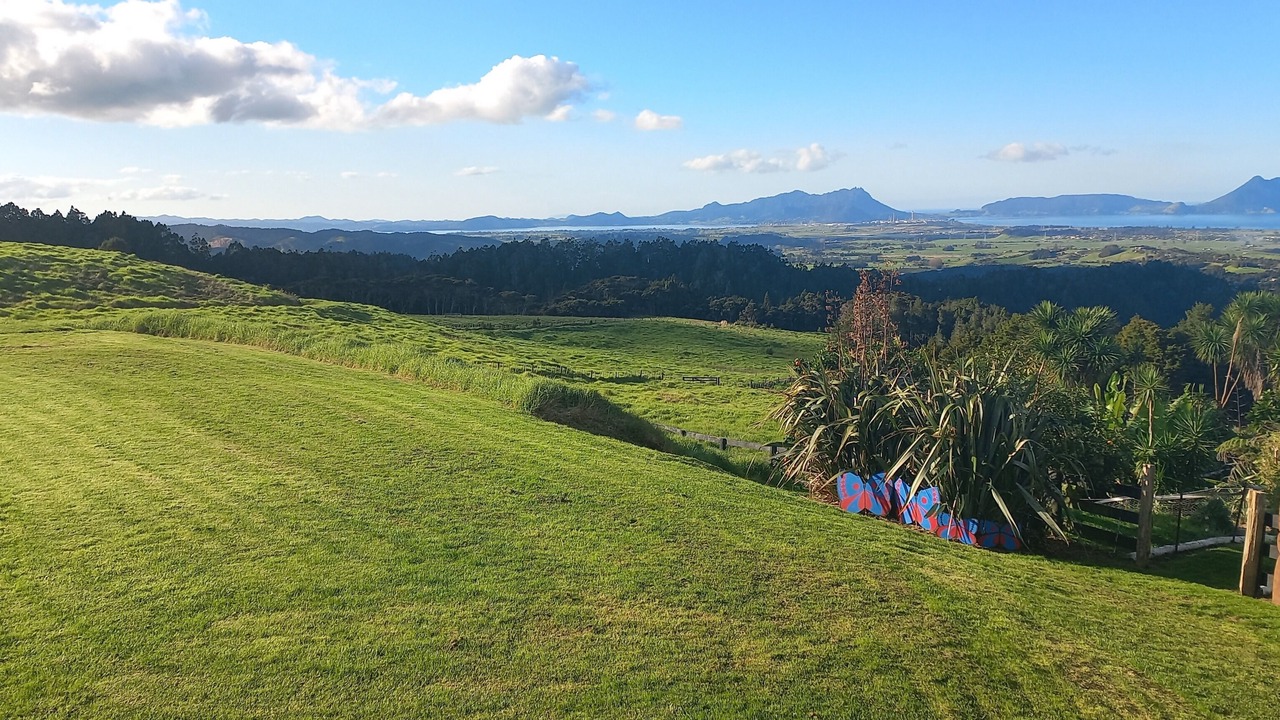 Photo of Others in Ruakaka