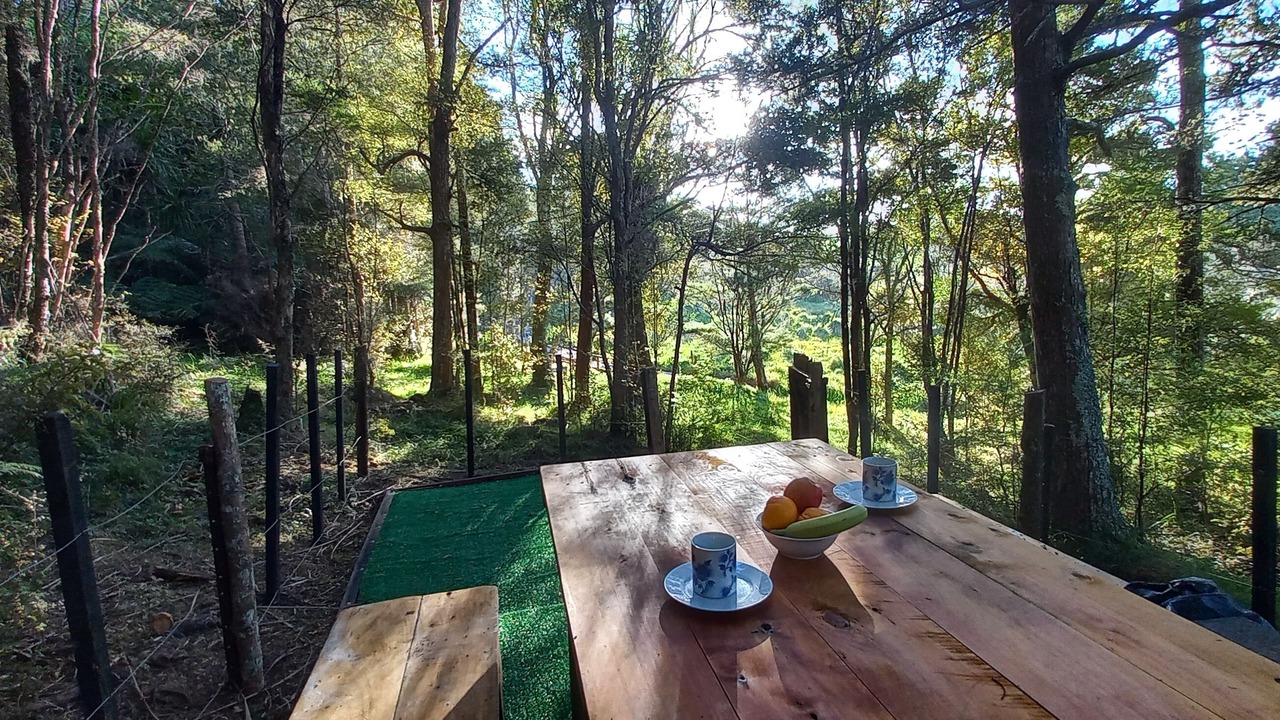 Photo of Outdoor in Ruakaka