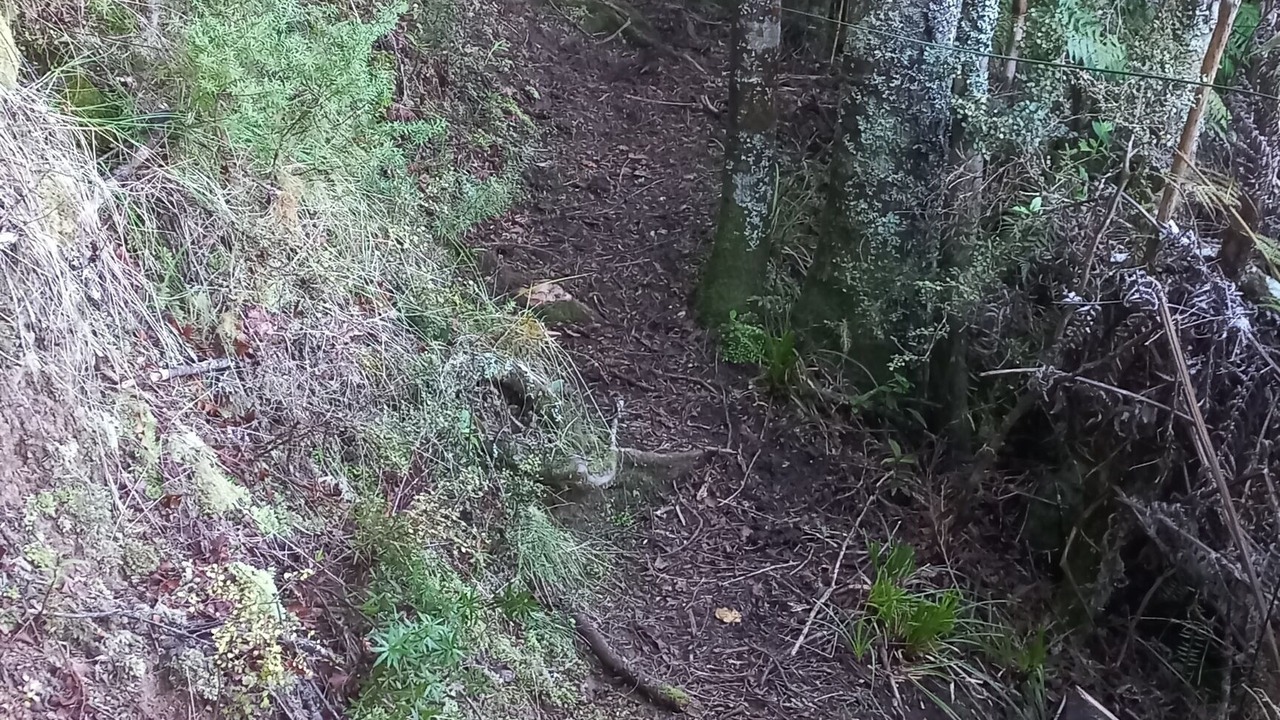 Photo of Others in Ruakaka