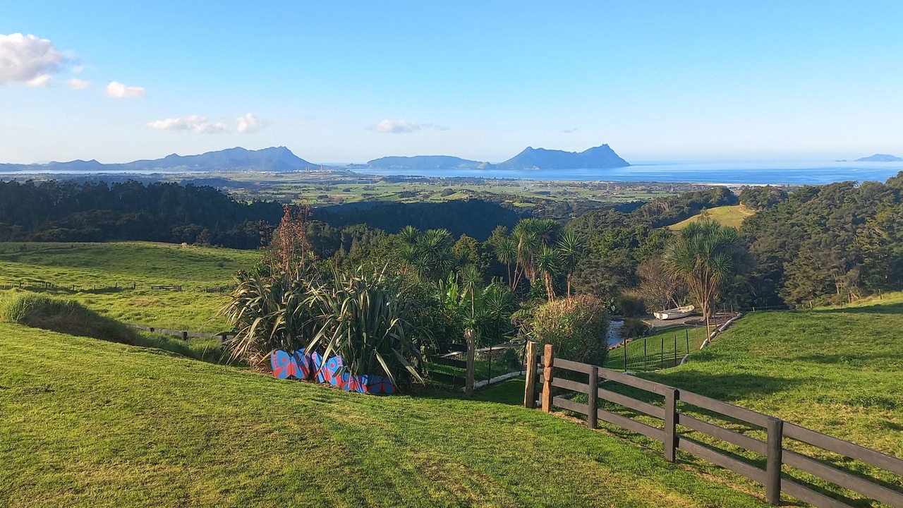 Photo of Others in Ruakaka