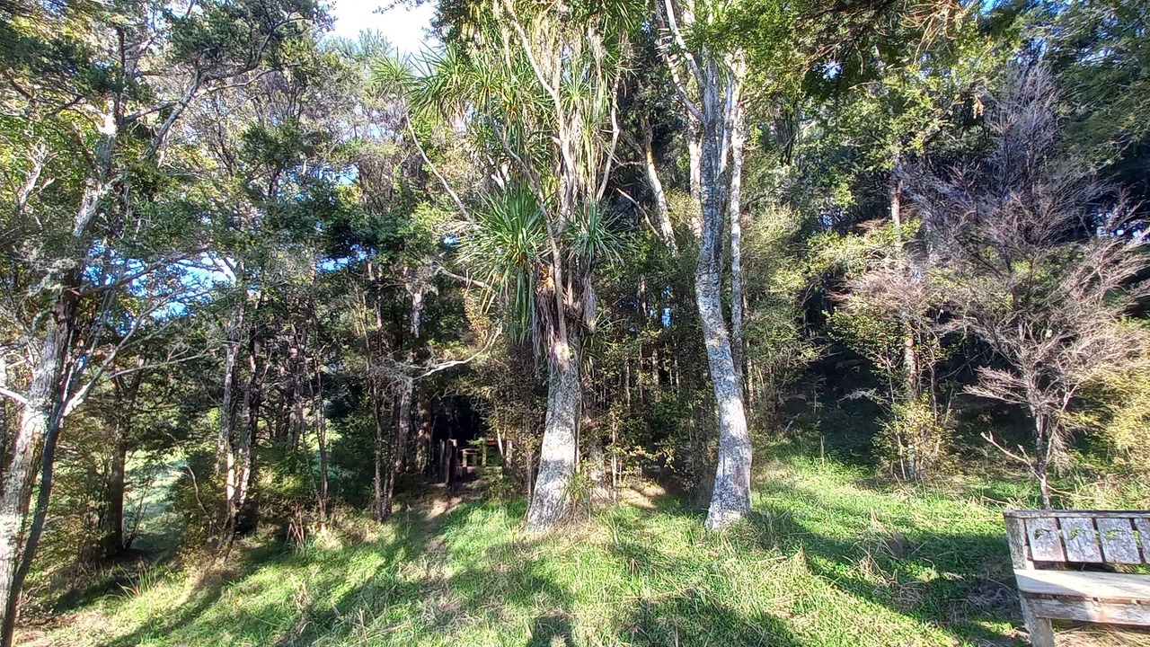 Photo of Others in Ruakaka