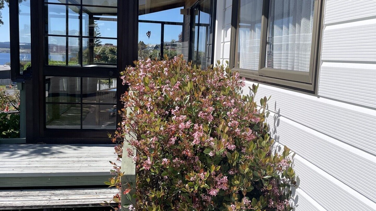 Photo of Outdoor in Taupo