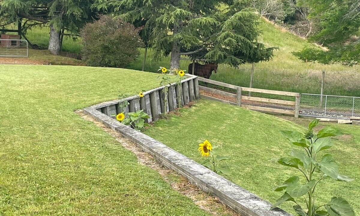 Photo of Outdoor in Rotorua District