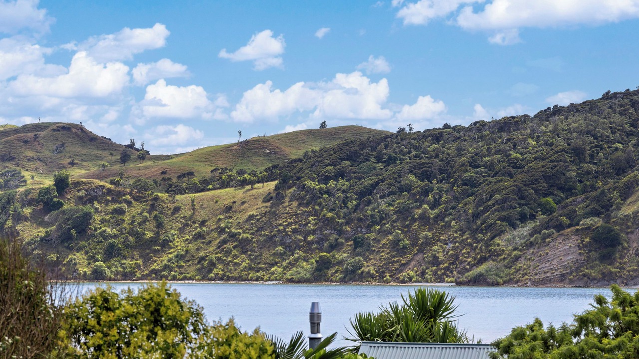 Photo of Others in Raglan