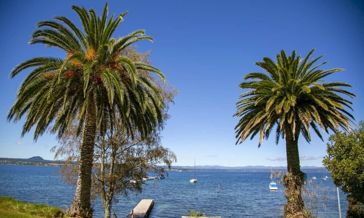 Photo of Others in Acacia Bay