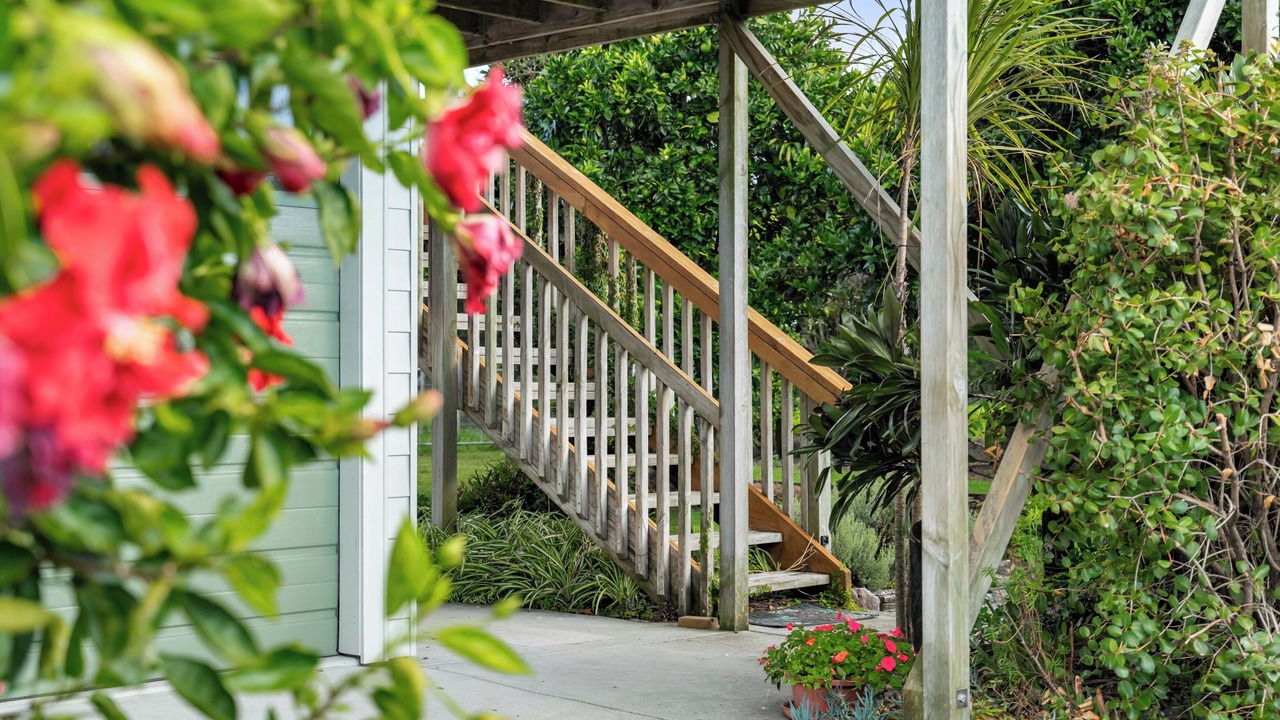 Photo of Outdoor in Whakamarama