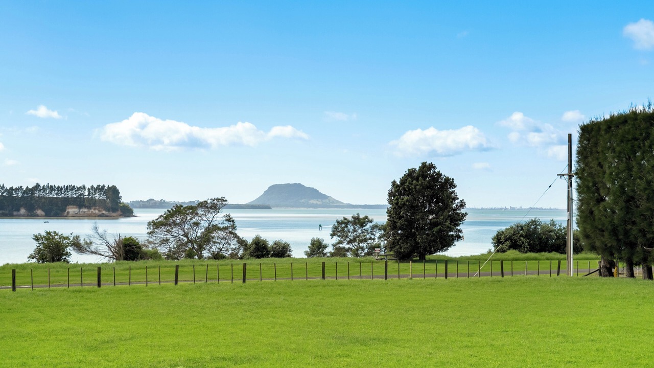 Photo of Others in Whakamarama