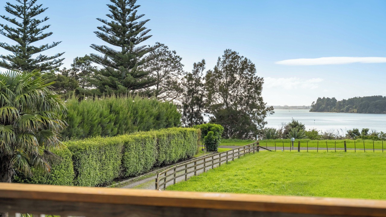 Photo of Outdoor in Whakamarama