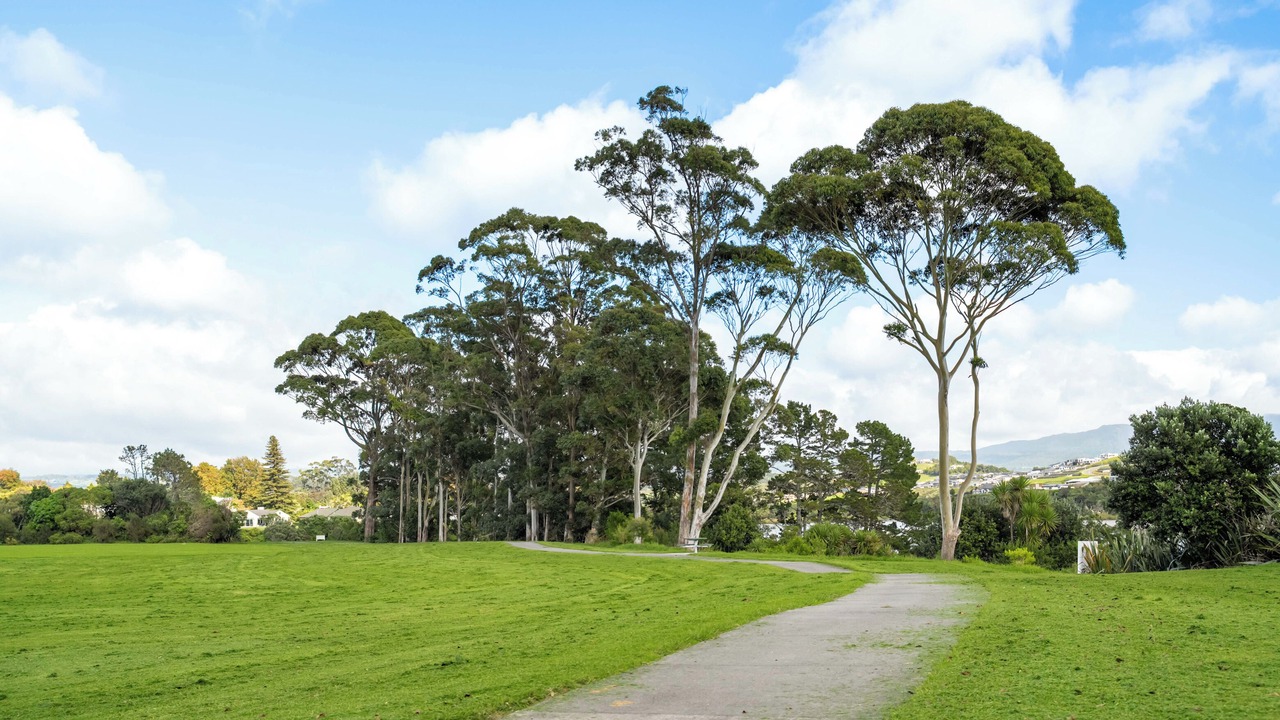 Photo of Others in Whakamarama