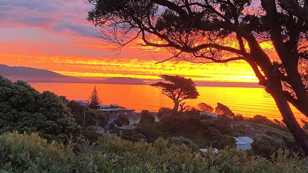 Photo of Others in Raumati South