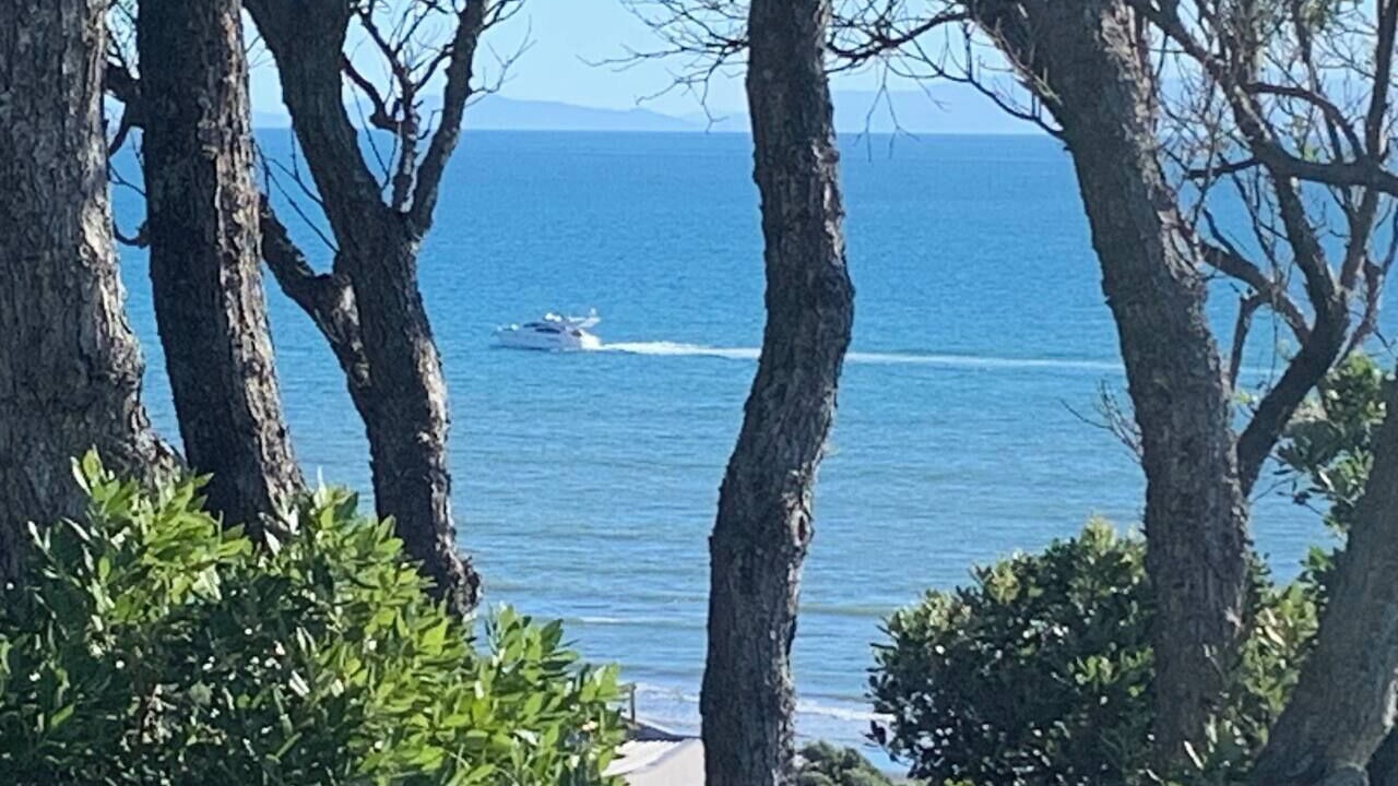 Photo of Others in Raumati South