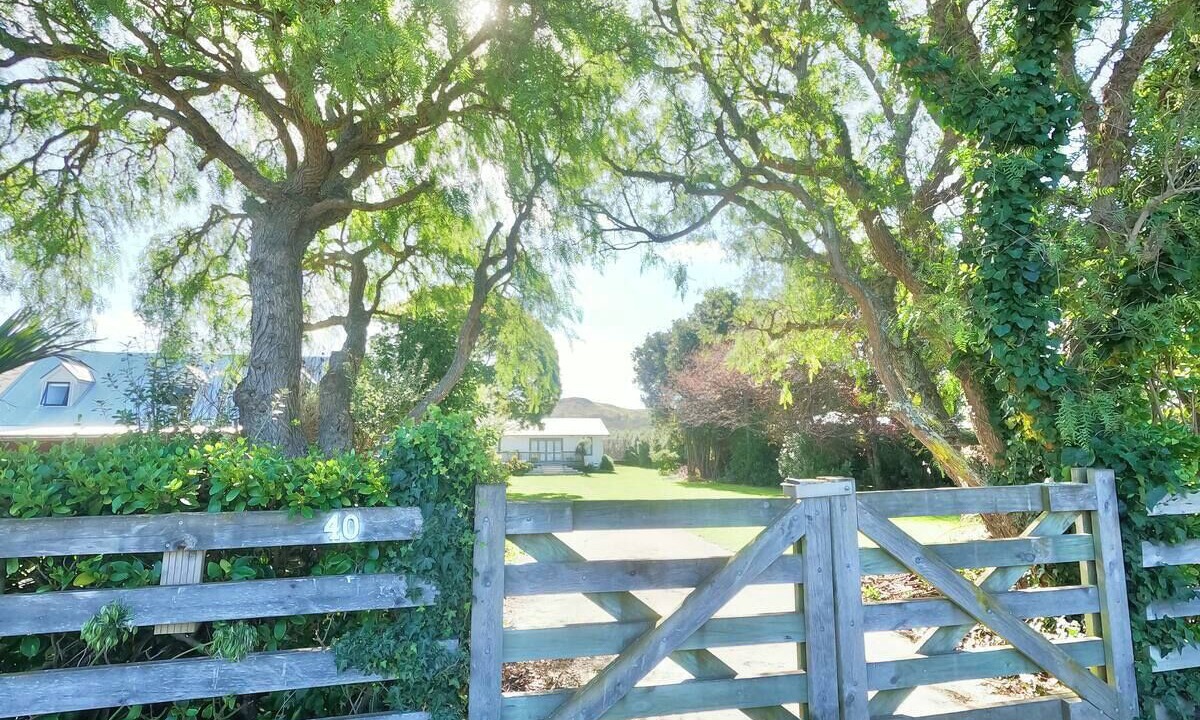 Photo of Outdoor in Waimarama