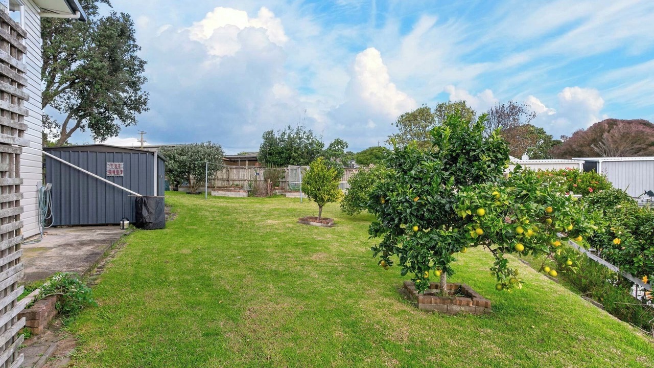 Photo of Outdoor in Mangawhai Heads
