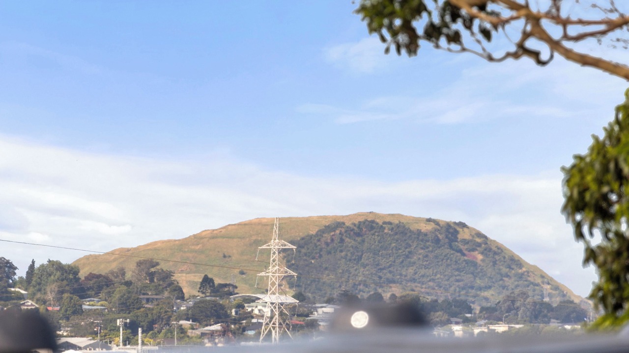 Photo of Others in Mangere Bridge