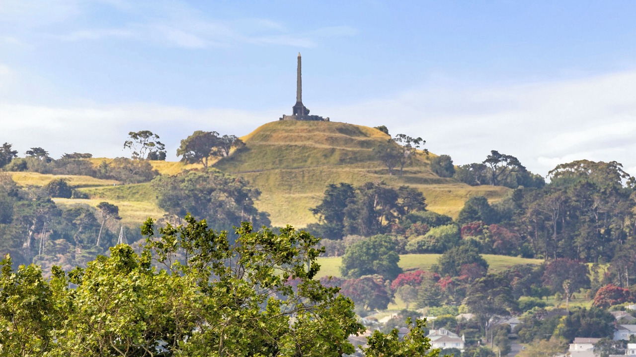 Photo of Others in Mangere Bridge